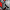 Demon Emoticons